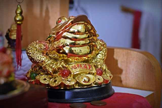 photography-of-gold-money-frog-photo