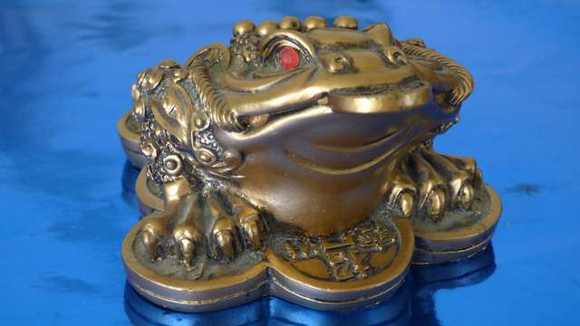 photo-of-money-frog