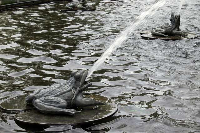 frog-symbolism